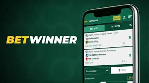 Explore BetWinner Deposit Options for Seamless Betting
